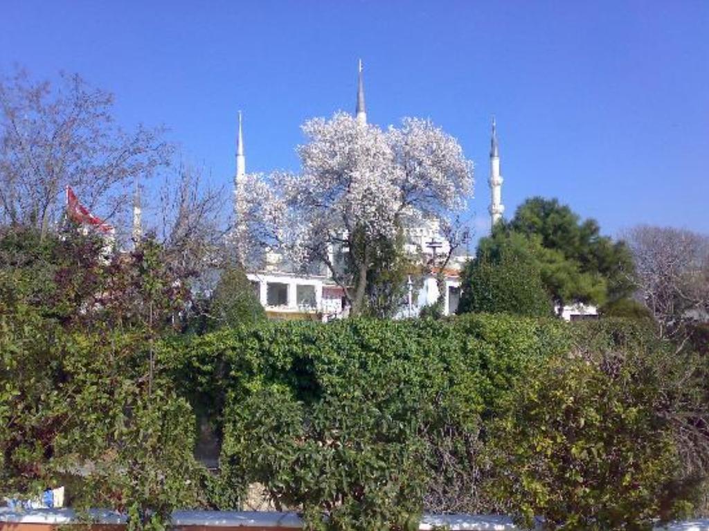 Hotel Tashkonak Istanbul Ngoại thất bức ảnh